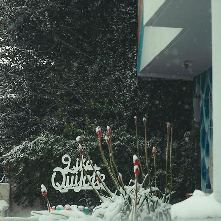 Hostel Like Quijote Σαν Κάρλος ντε Μπαριλότσε Εξωτερικό φωτογραφία