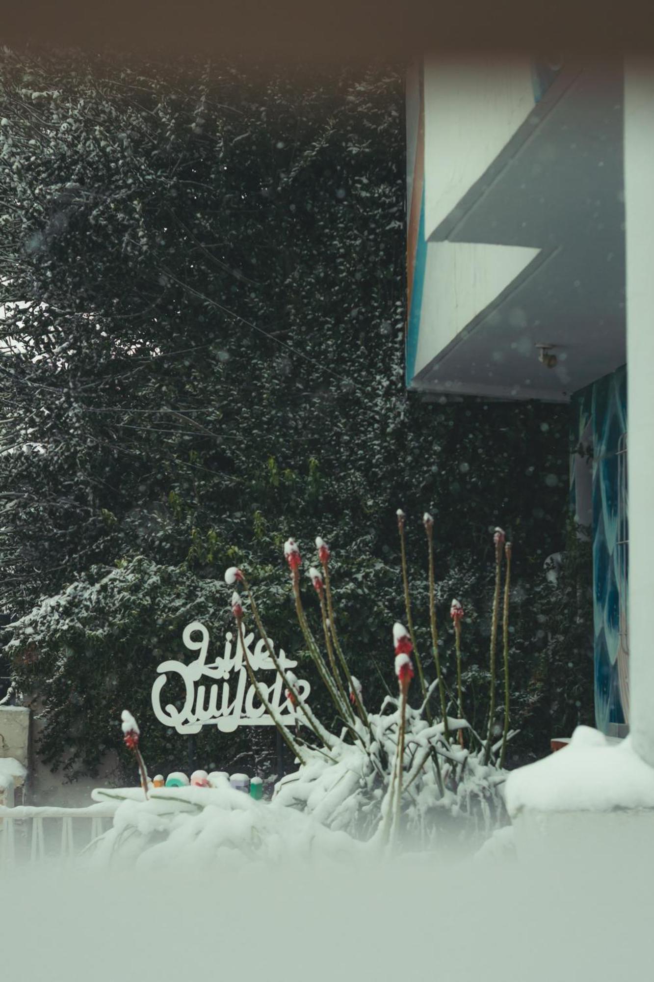 Hostel Like Quijote Σαν Κάρλος ντε Μπαριλότσε Εξωτερικό φωτογραφία